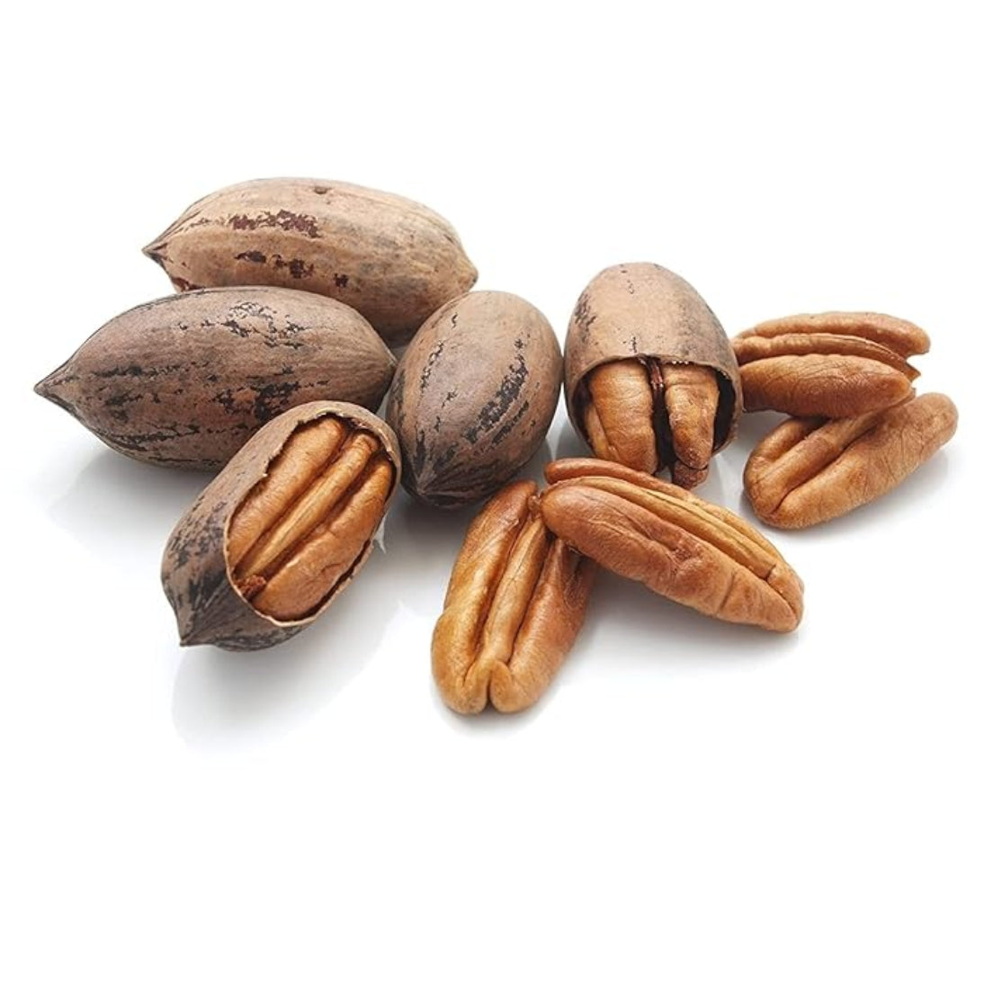 Pecan Nuts With Shell
