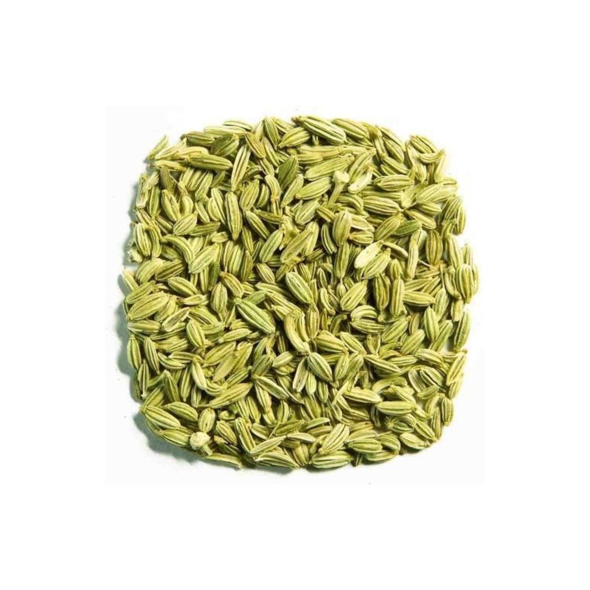 Saunf | Fennel | سونف – The Nuts Supermarket LLC