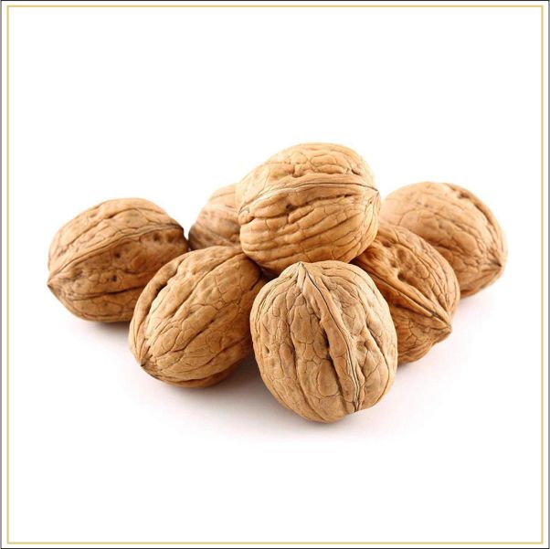 Walnut Withour Shell Walnuts With Shell – The Nuts Supermarket LLC
